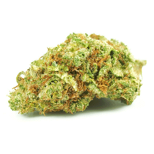 buy Pennywise strain online