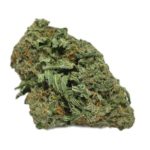 buy Nova OG online