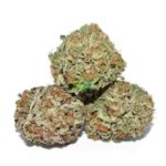 buy Abusive OG online