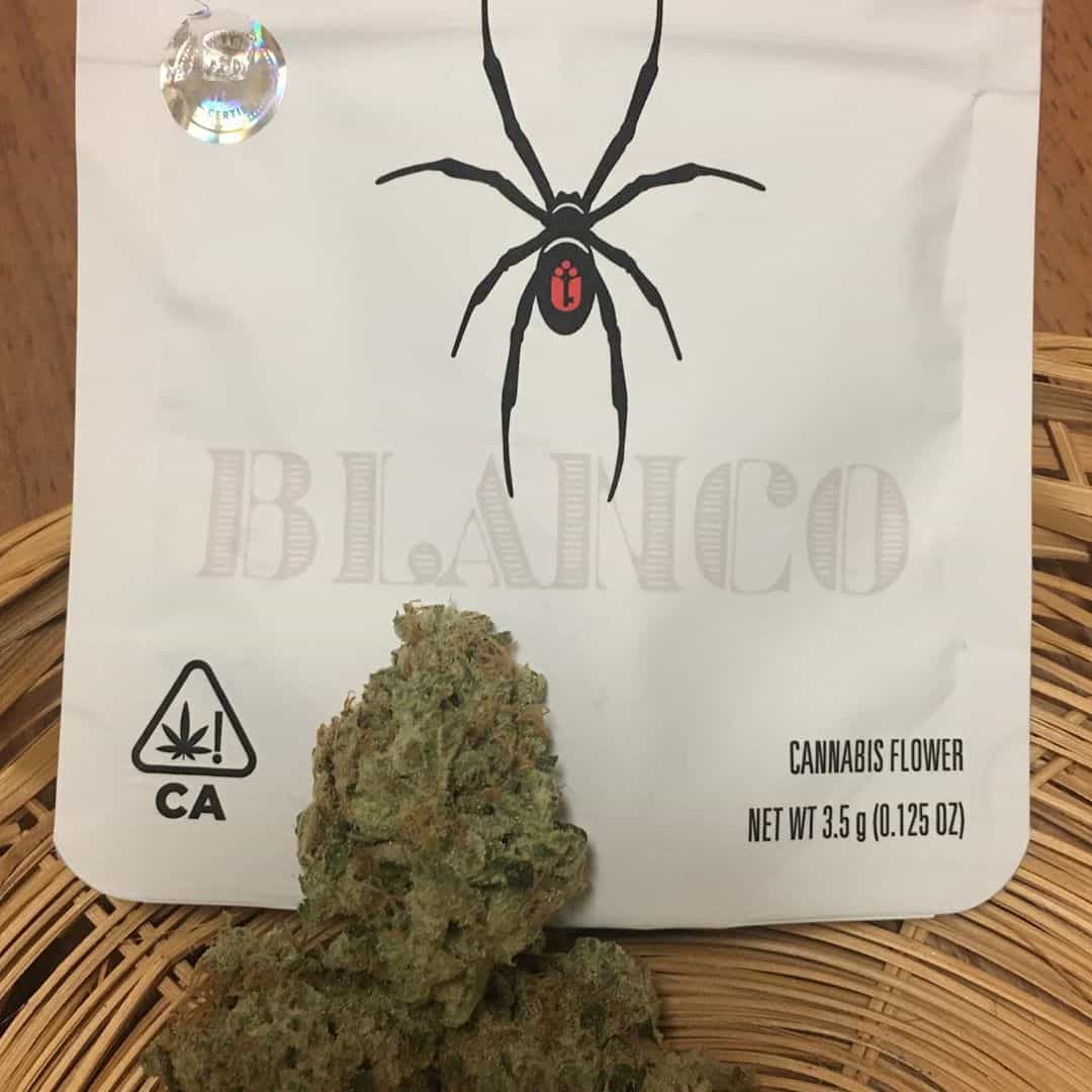 buy Blanco strain online