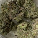 buy Cookie Face strain