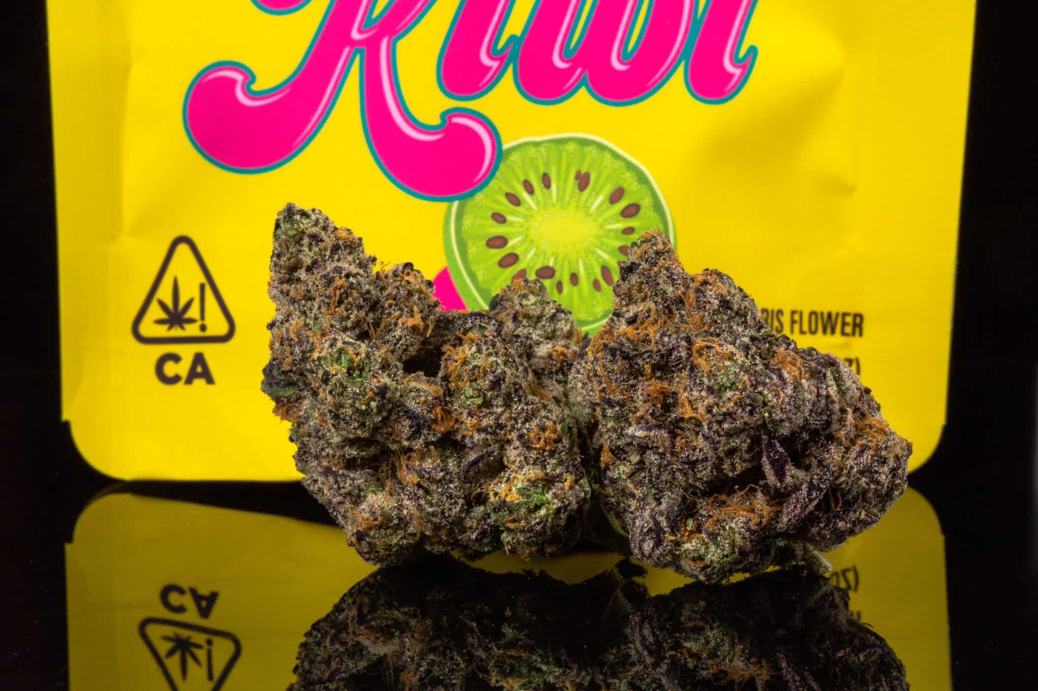 buy baby kiwi kush