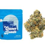 buy ocean beach strain