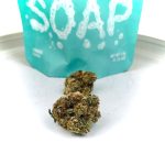 buy the soap strain